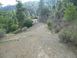 Trooditissa walk 001