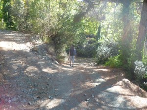 Trooditissa walk 024