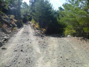 Trooditissa walk 025