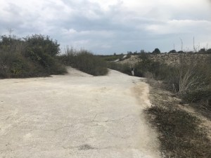 thumbnail_image1 (1)