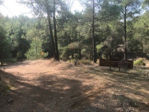 thumbnail_image2 (1)