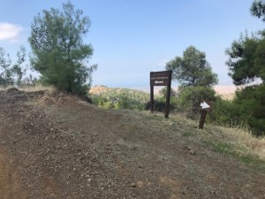 thumbnail_image2 (2)