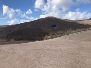 thumbnail_image0 (1)